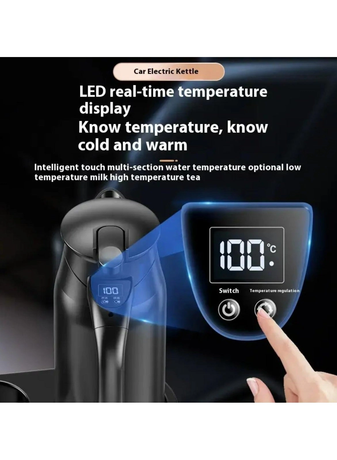 Temperature Control Portable Electric Kettle