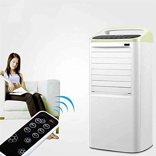 Dual Hose Portable Air Conditioner - 2000W