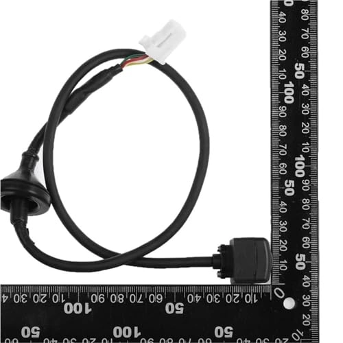 Rear Image Camera Assembly - Wire