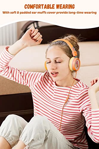 KH20 Wired Headphone
