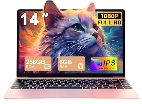 GBDZ-DE-N500-Gold-5 - 14'' 256GB 6GB N4020