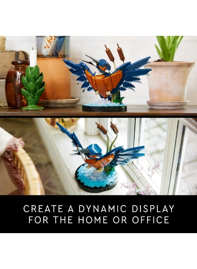 Icons Kingfisher Bird (10331)