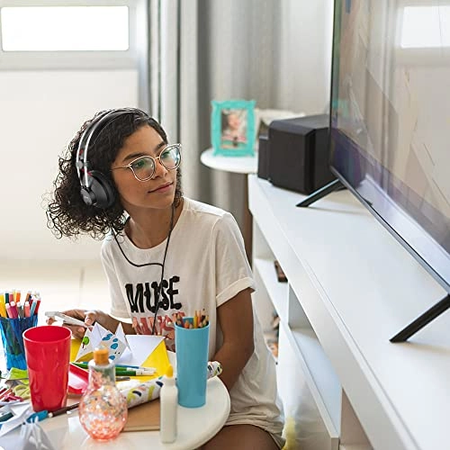 RX-240 Wired Headphone