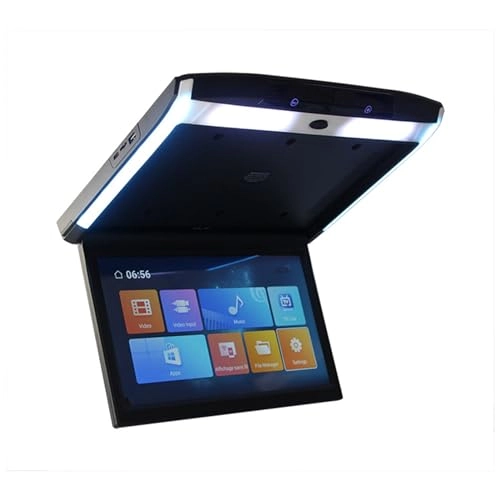 Car ceiling display - 11.6-inch