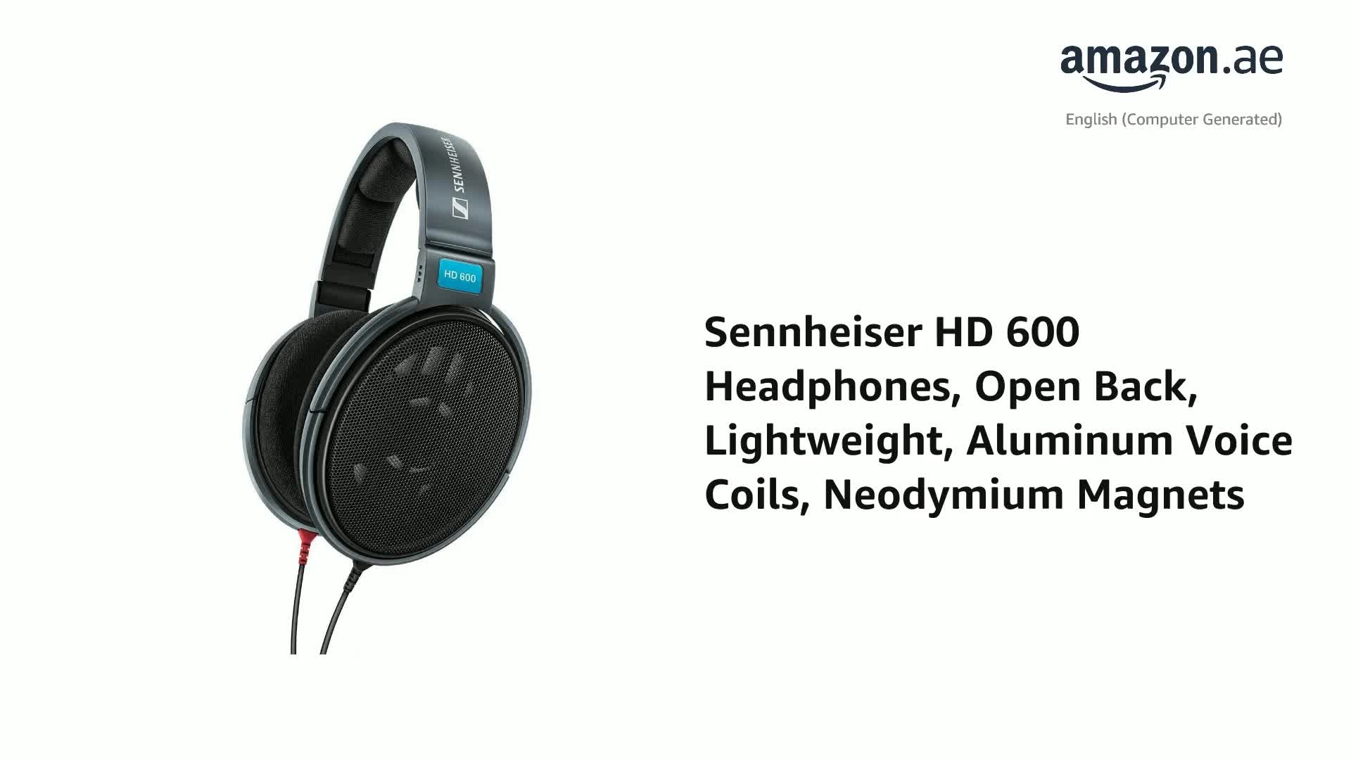 HD 600 Wired Headphone