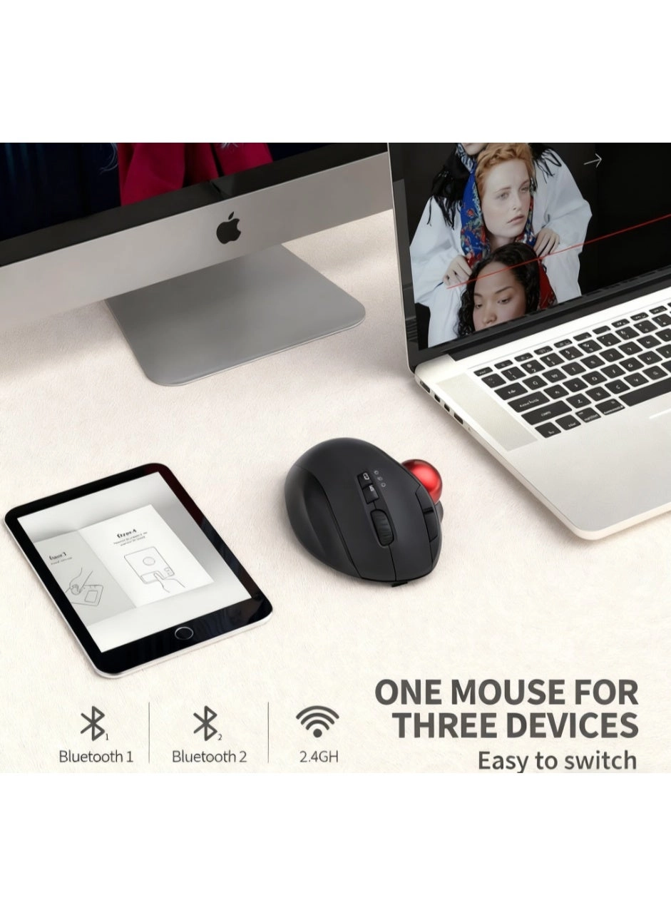 Ergonomic Trackball Mouse - Wireless