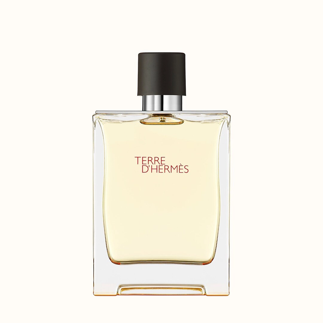 Big Brands Perfumes Terre D'Hermes Eau de Toilette 200 ml