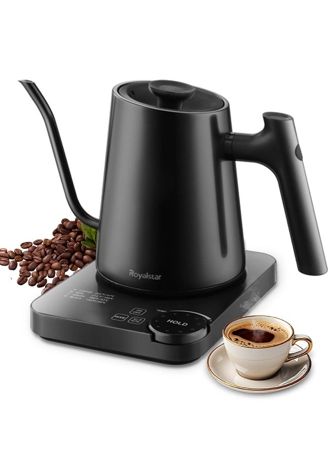 Temperature Control Gooseneck Electric Kettle