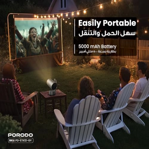 PD-ETK12-GY 250 ANSI brightness