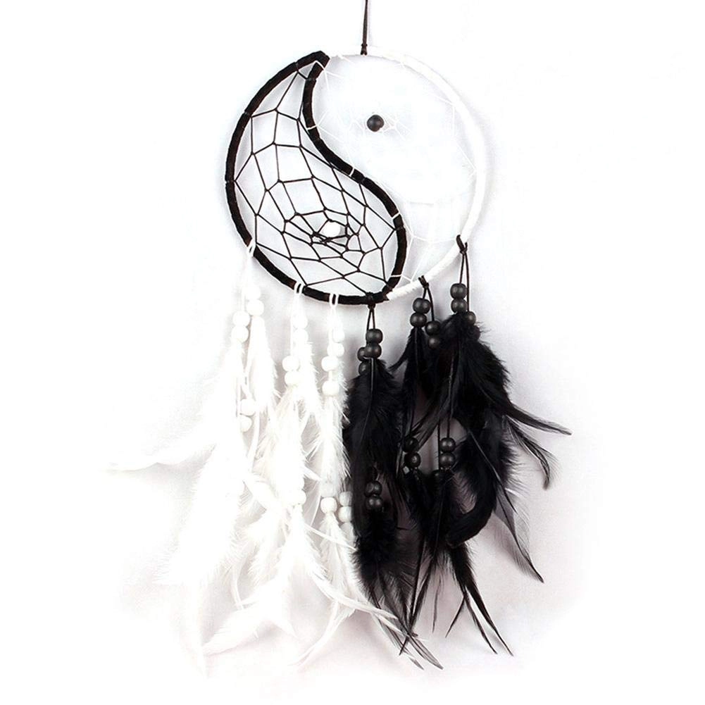 Dreamcatcher - Siderosphere, feathers, lines, wood beads.