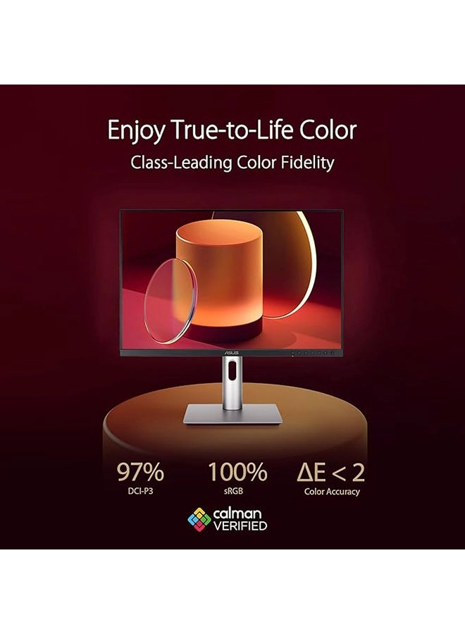 PA248CRV - 24 Inch 1920 X 1200