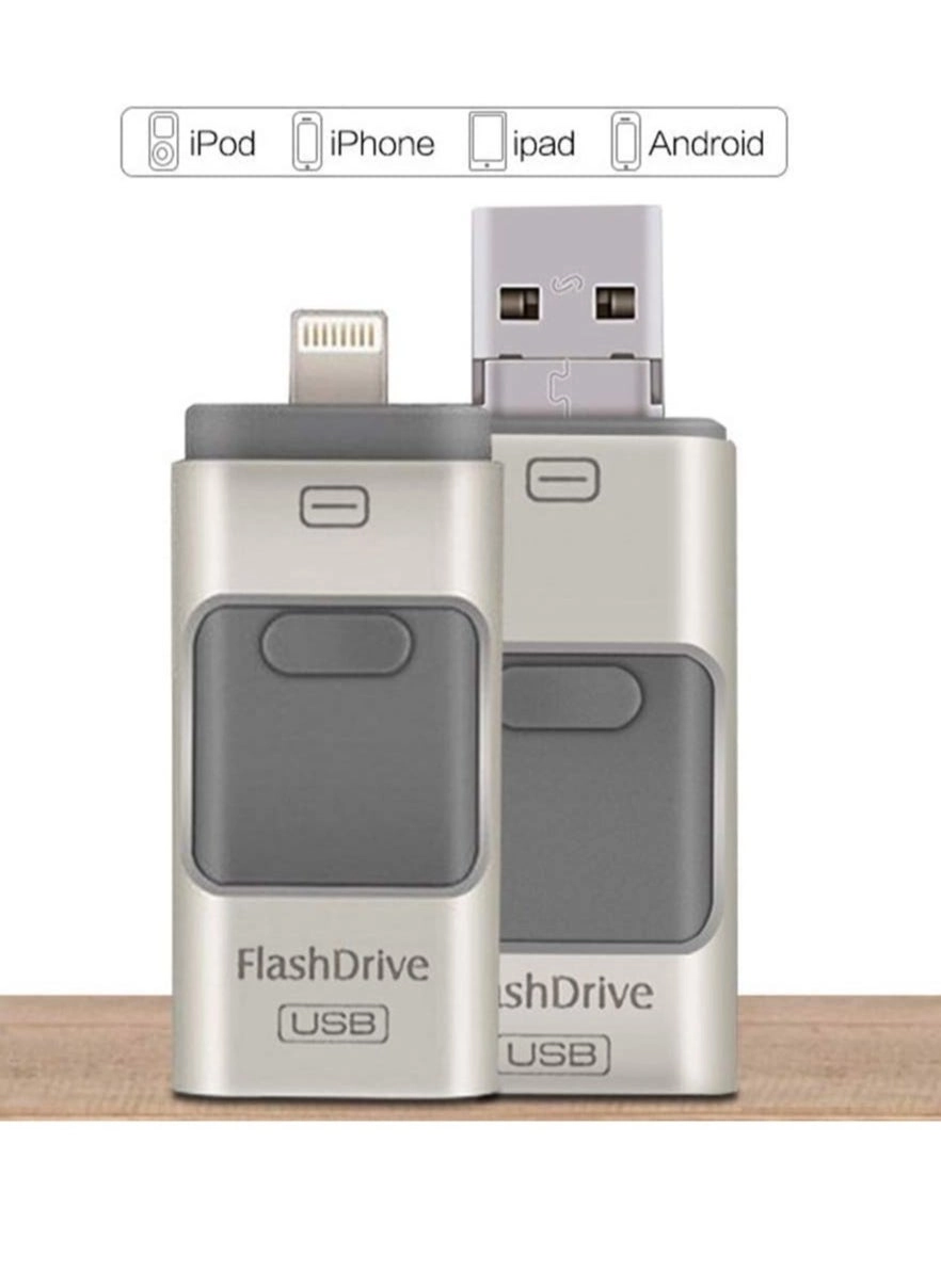 Flash Drive for iPhone 256GB