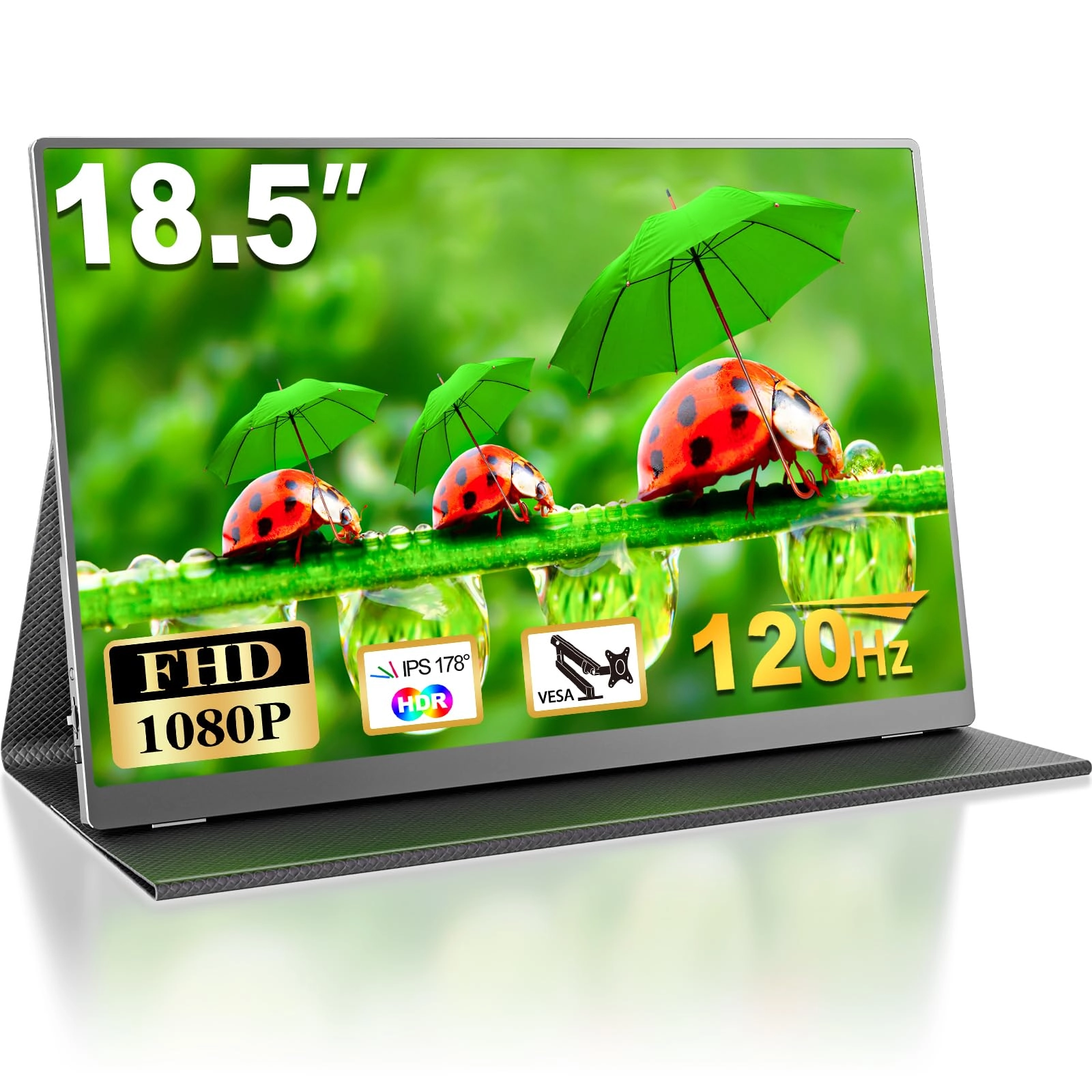 MOMODS Portable Screen - FHD 18.5 Inch