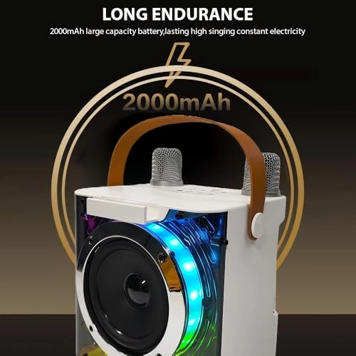 Karaoke Machine - 2 15W