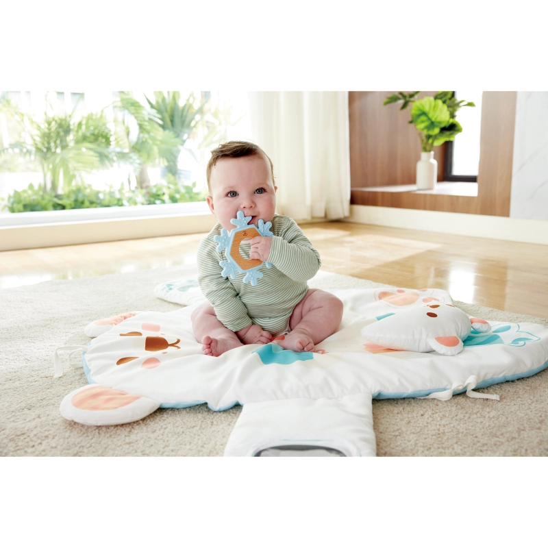 Snuggle Bear Foldable Activity Gym - 0 to 18 months