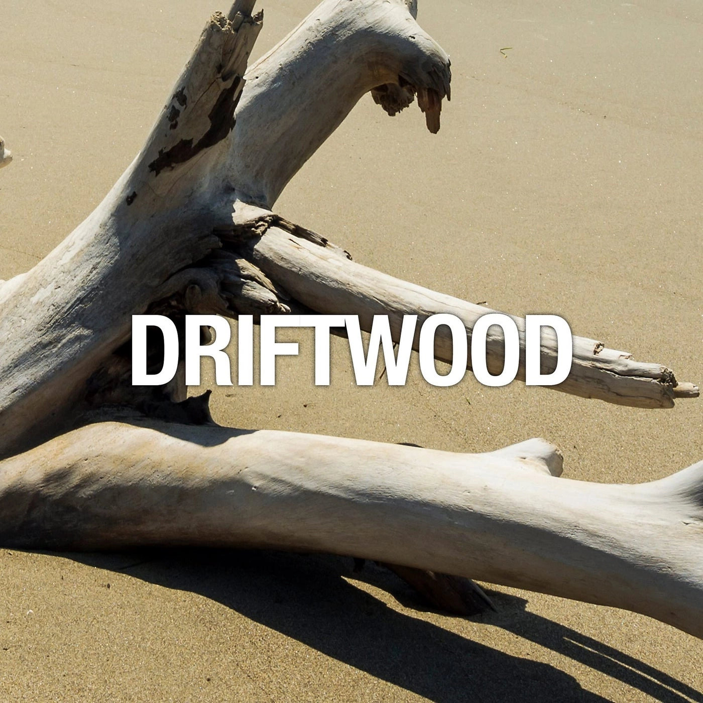 Wave Eau de Toilette 100 ml