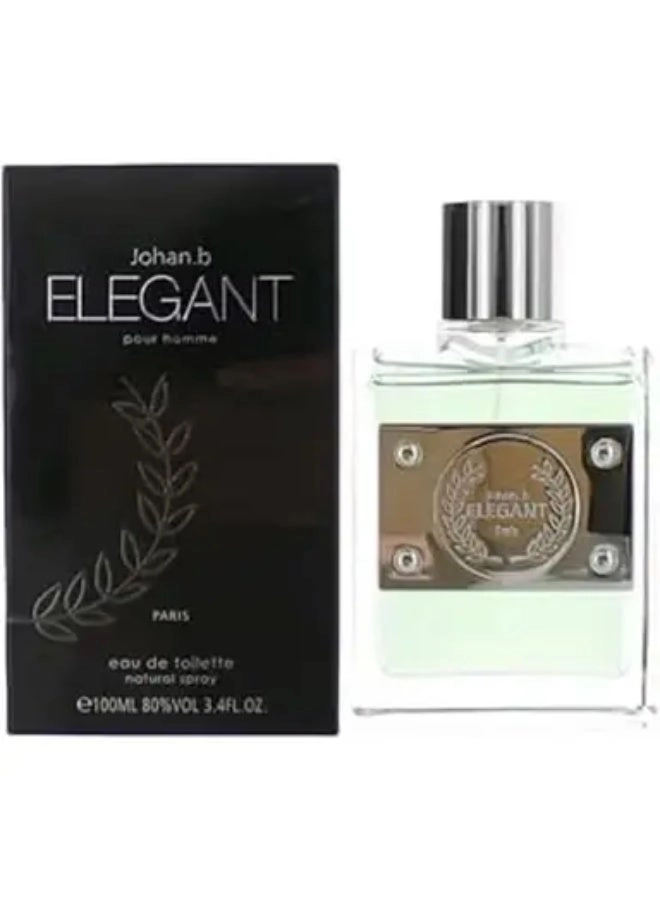 Elegent Attractive Eau de Toilette 100 ml