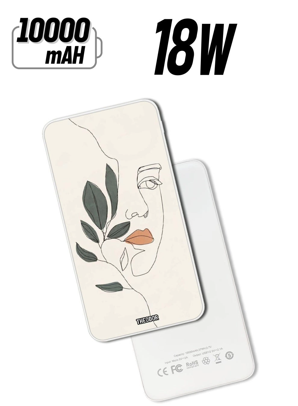 Theodor PPBA198 - 10000 Watt-hour 18W PD
