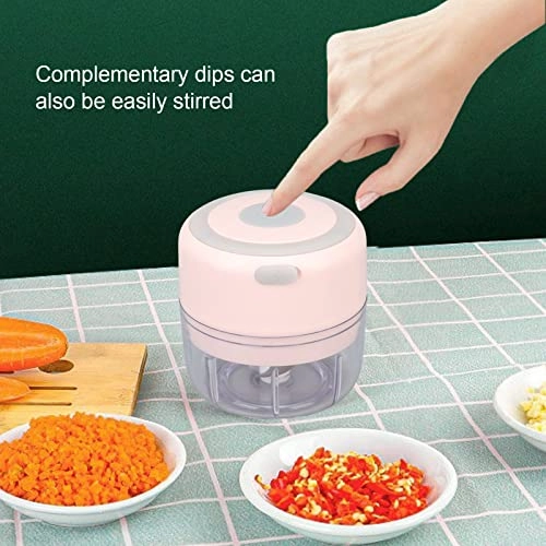 Mini Electric Garlic Chopper - 100ml USB Rechargeable