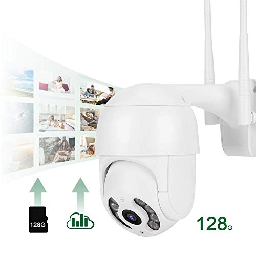 PTZ Dome Camera 1080P