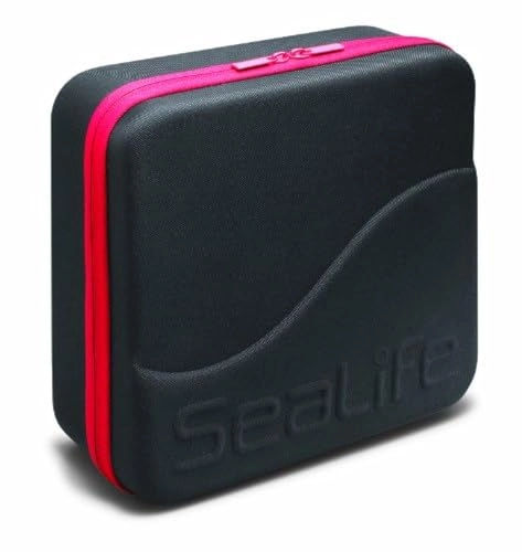 Sea Dragon - 25.4 x 25.4 x 10.16 cm Large