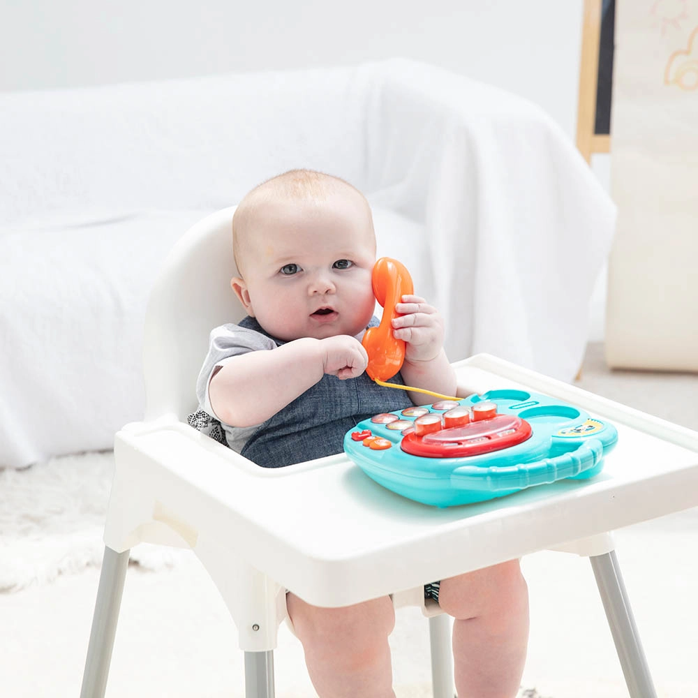 Activity Animal Telephone - 6 months