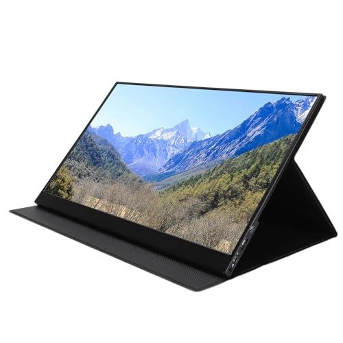 Portable Monitor - 1920 X 1080P 16.1 Inch