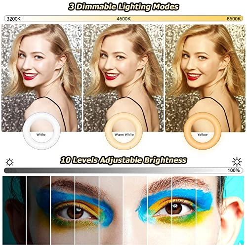 Video Conference Lighting Kit