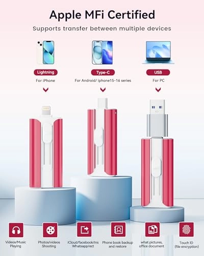 USB C Stick - Lightning 256GB
