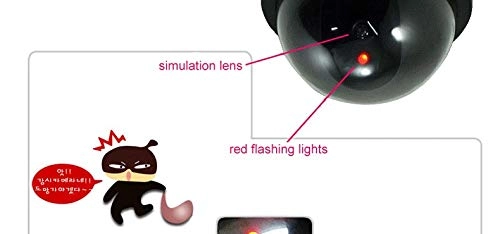 Dummy Camera - Indoor, Outdoor Bundle