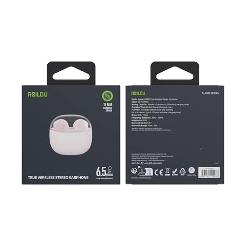 R3006 Wireless Earbud