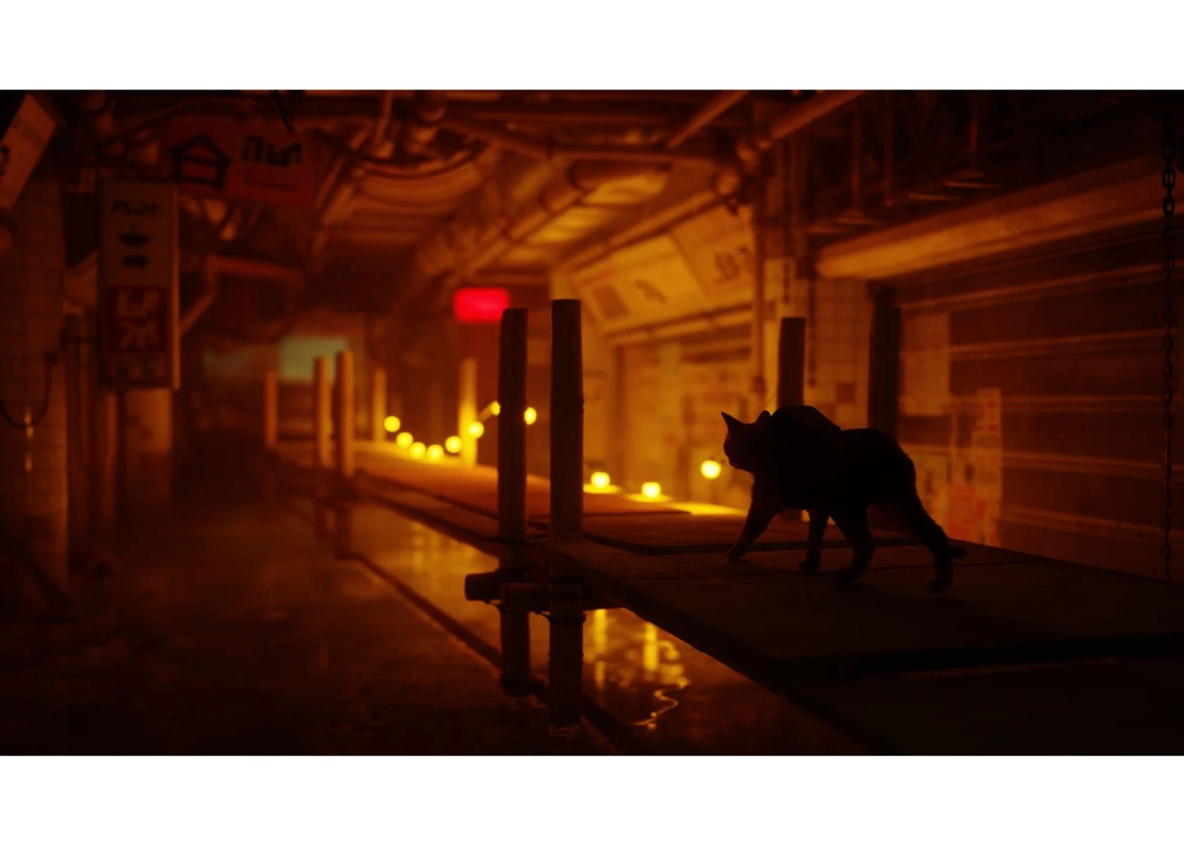 Stray - PlayStation 5