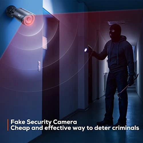 Dummy - Indoor Outdoor Pack