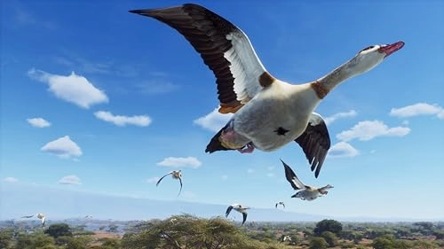 Way of the Hunter: Hunting Season One - PlayStation 5