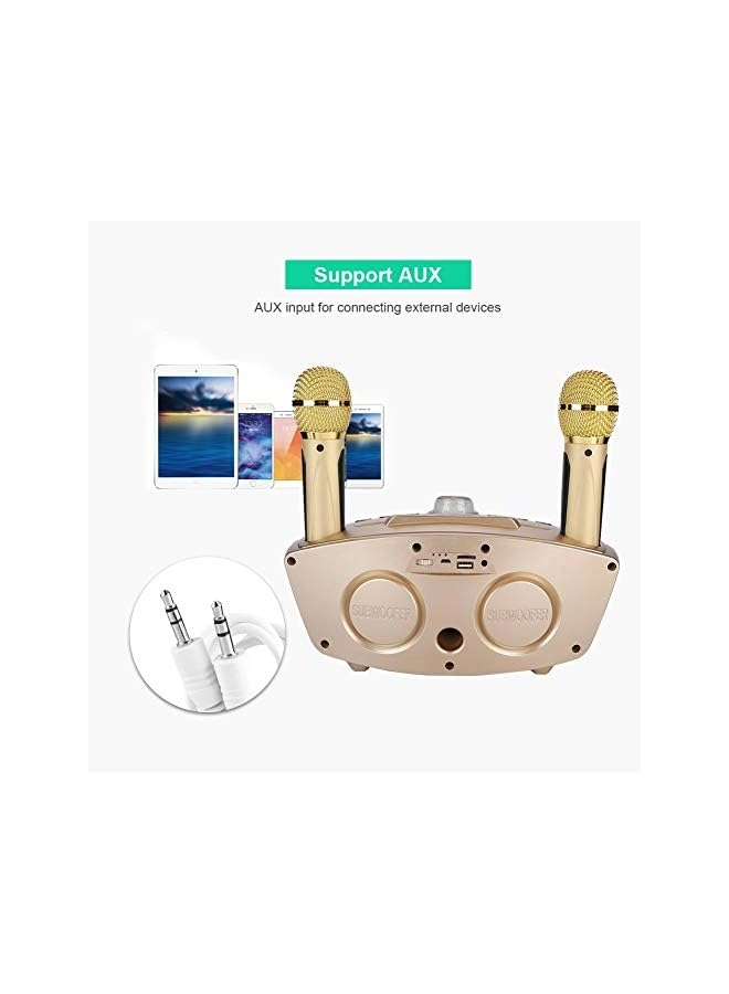Karaoke Machine - 2 Wireless Microphone 10W