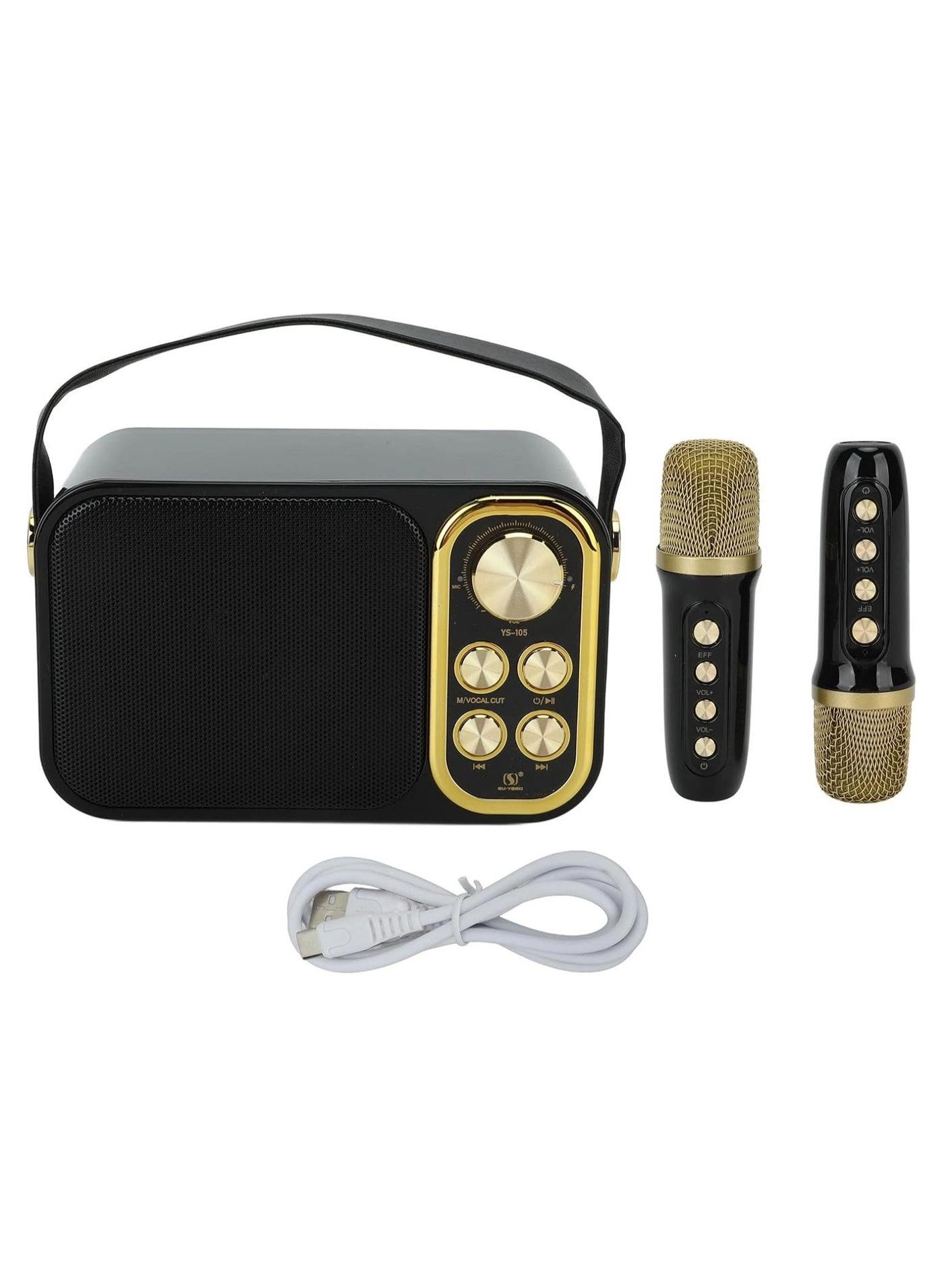 Outdoor Party Vocal Machine - 2 microphones