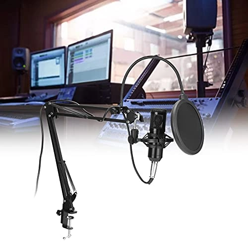 01 Condenser Wired Microphone Bundle