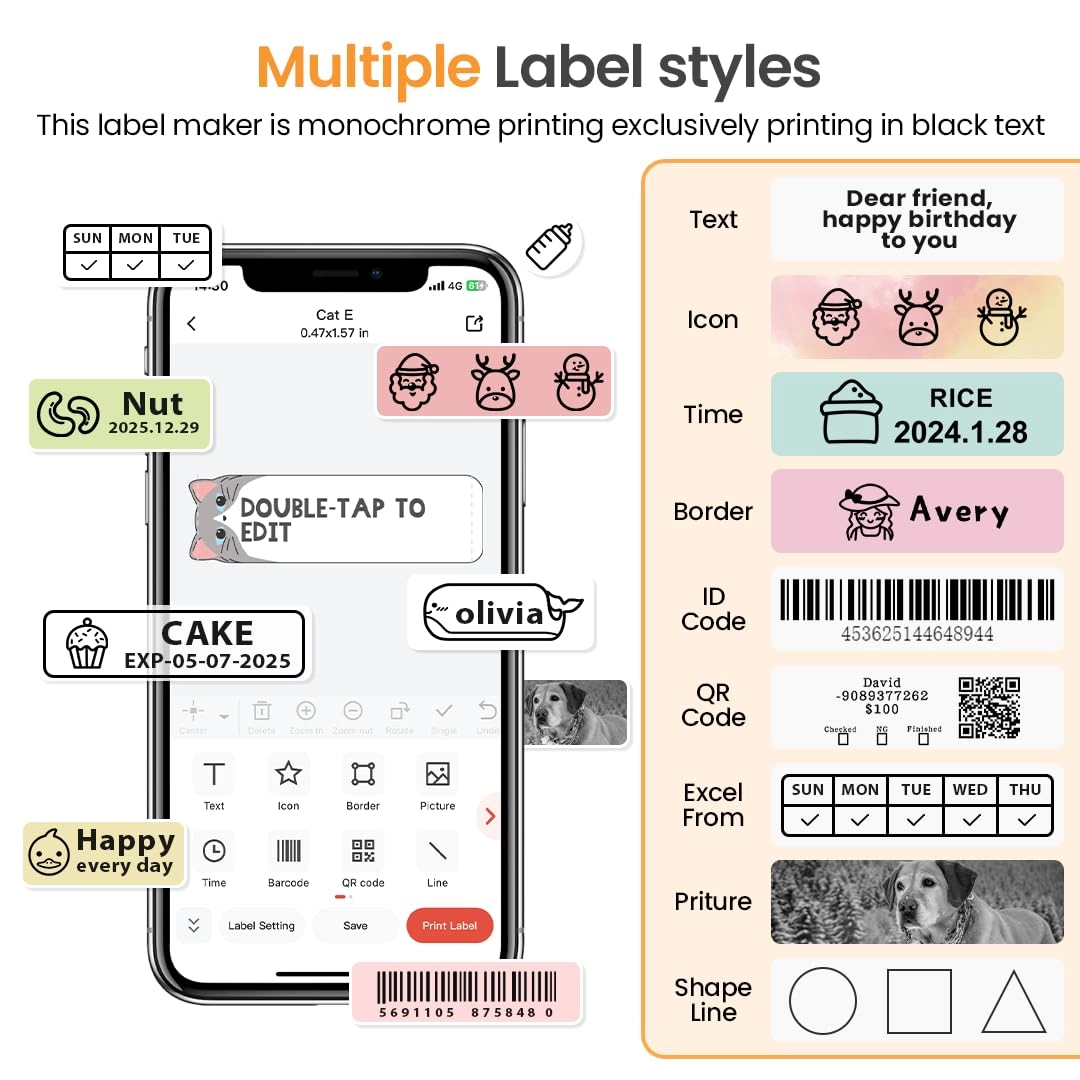 D30 - Portable Bluetooth Inkless