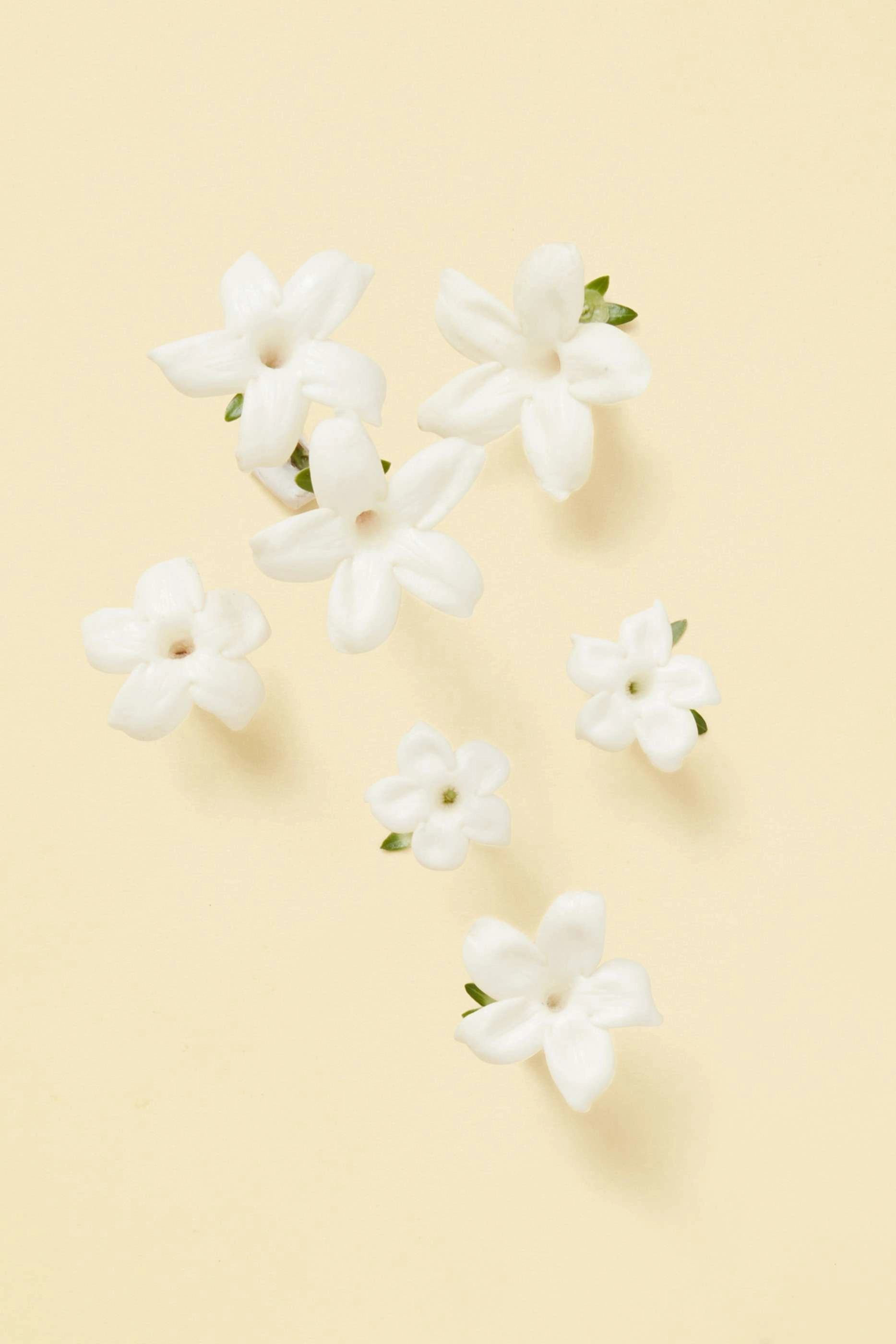 Tears from the Moon Eau de Parfum 50ml