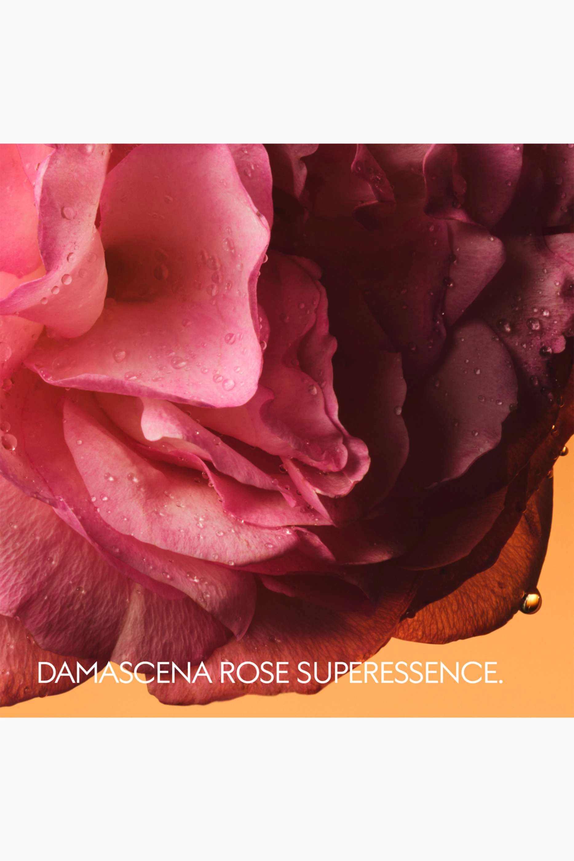 Rosa Sublime Eau de Parfum 100ml