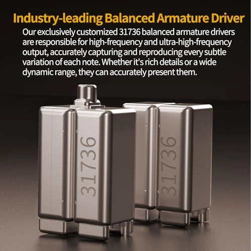 ZS10 Pro Wired Earbud