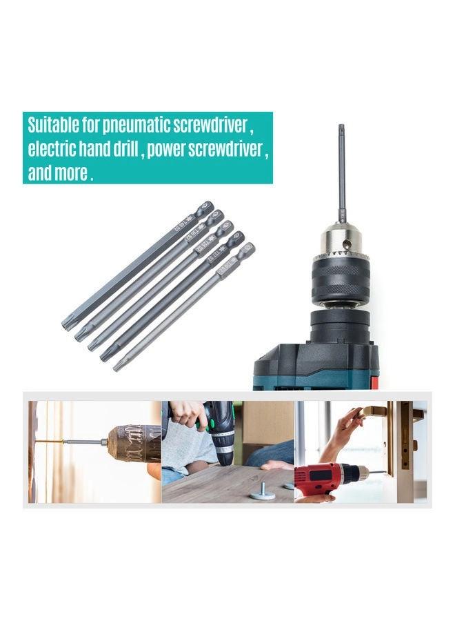 T10 Security Torx Bit Set - 10 100mm(3.93in)