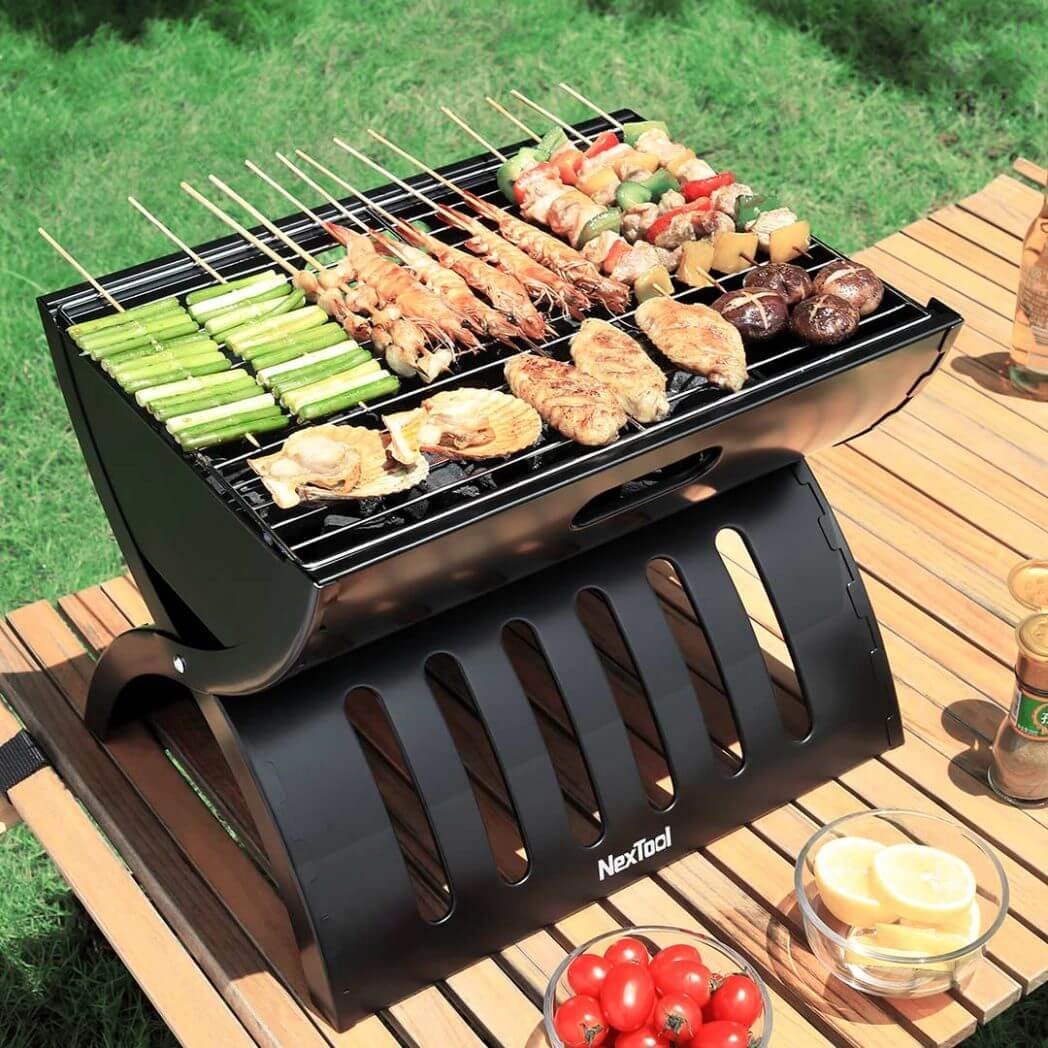 Wild Fun Foldable Grill - Submerged Charcoal