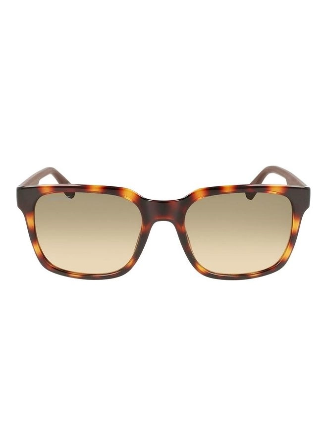 Lacoste L967S - 55 mm Gradient Brown
