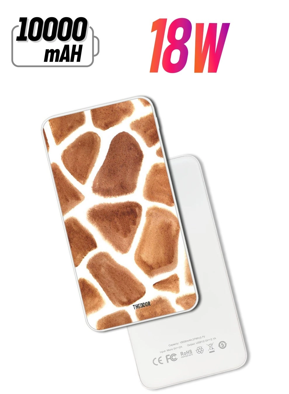 Theodor EX_PPBA580 - 10000 Watt-hour 18W PD output