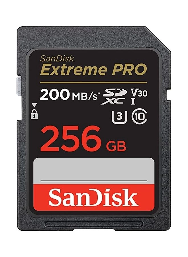 SanDisk SDSDXXD - 256GB