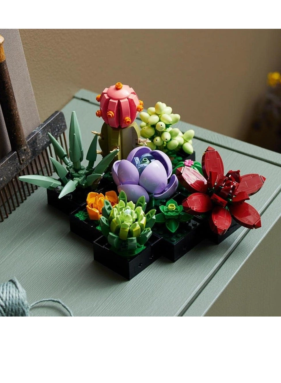 Succulents (10309) - Flowers