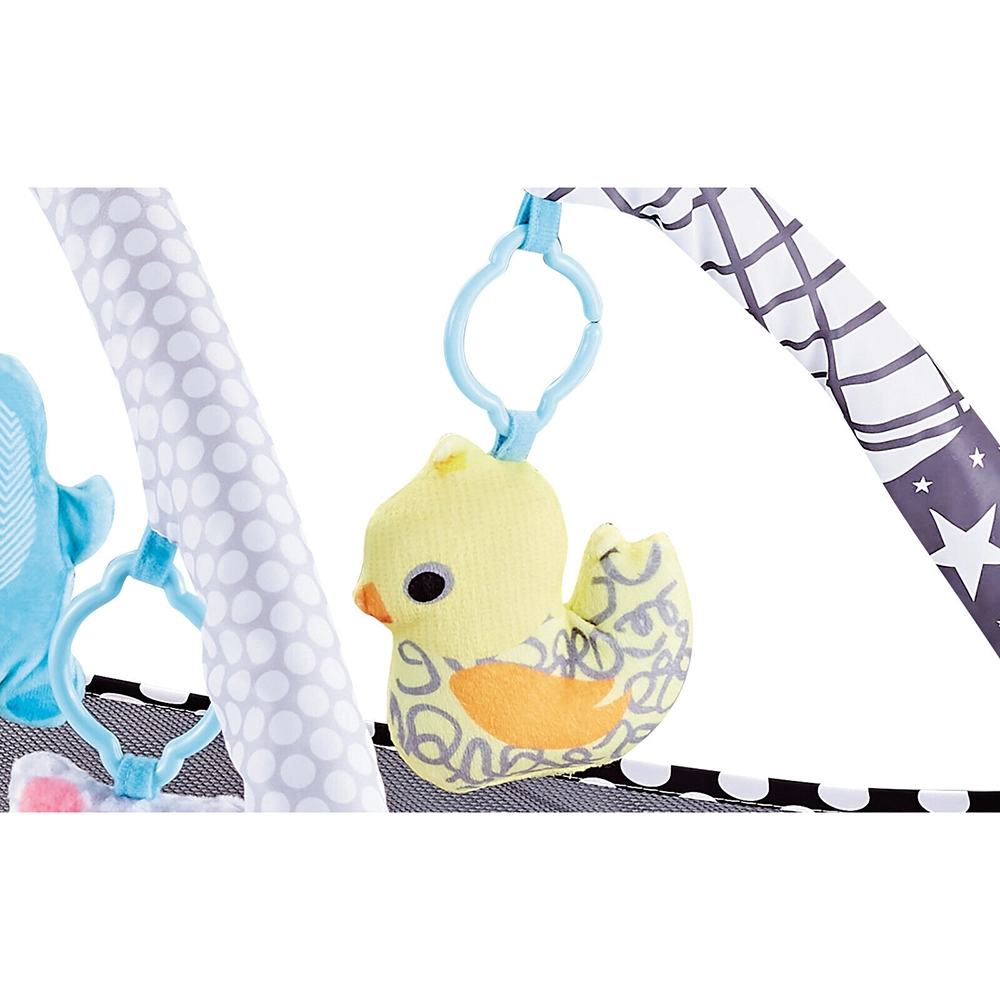 Baby Play Mat Activity Gym - 0 month & above