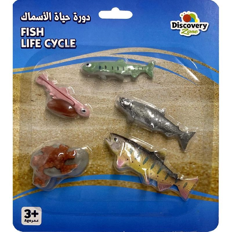 Non Branded Life Cycle of Salmon Fish Biology - 7 Years and Above 5 pieces