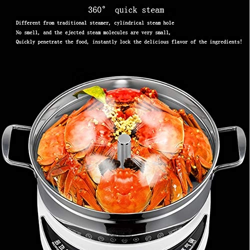 Electric Steamer - 3